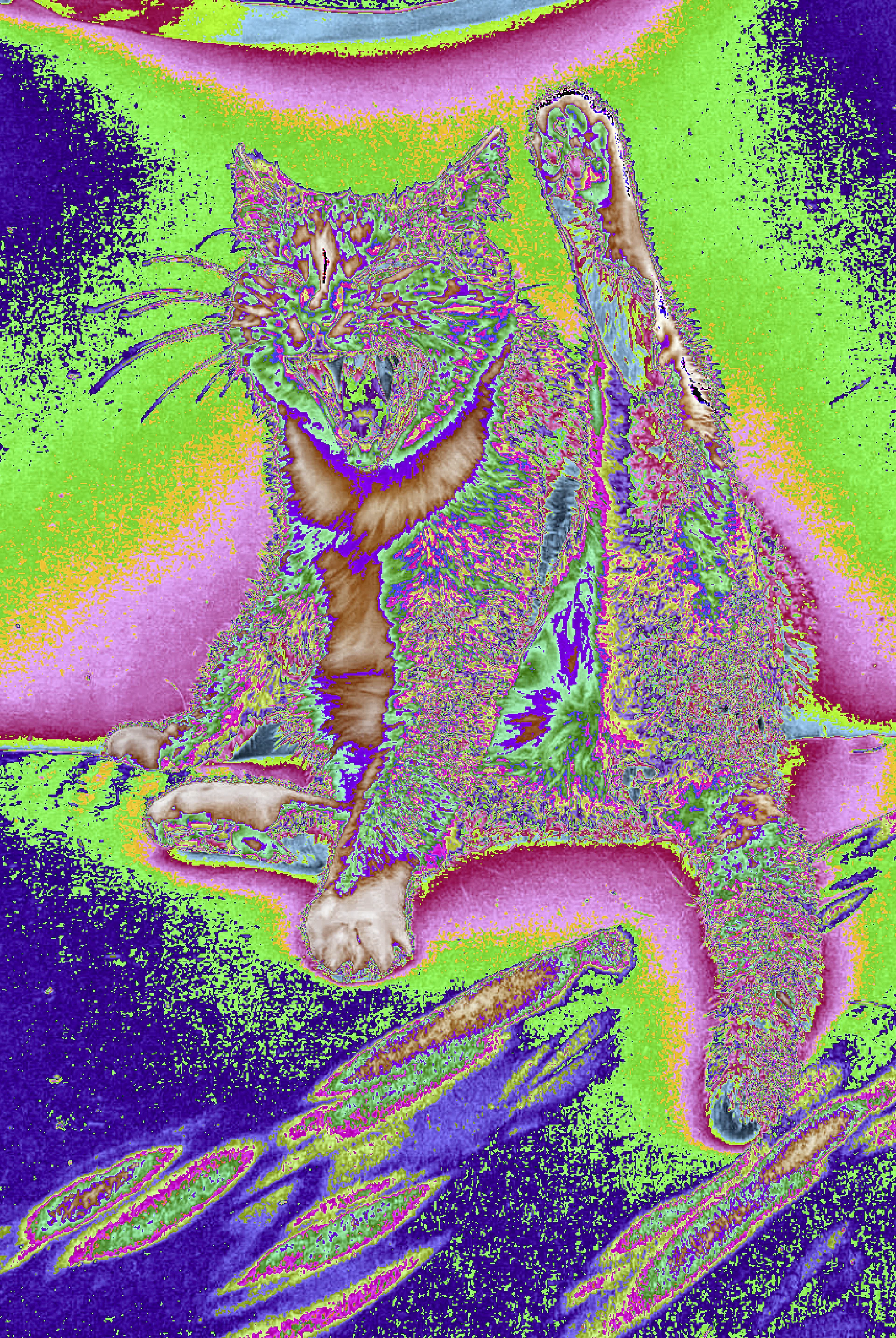 Encrypted image print from PXcrypt by Jacob Aran — a cat dissolved into shifted colour channels
